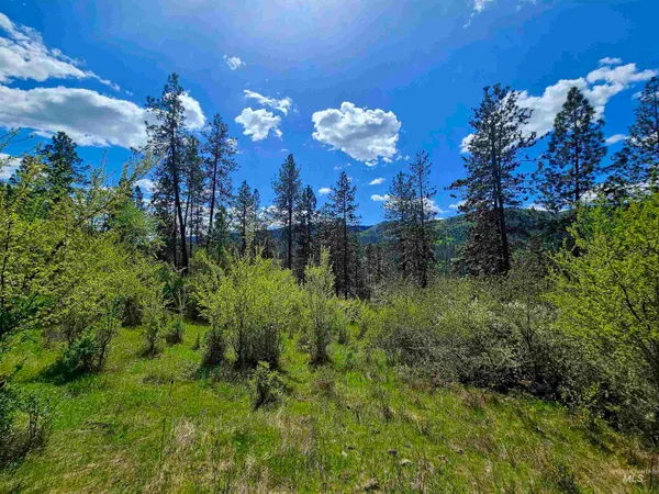 $589,000 | 115 Weedmark Way, Kamiah, ID 83536