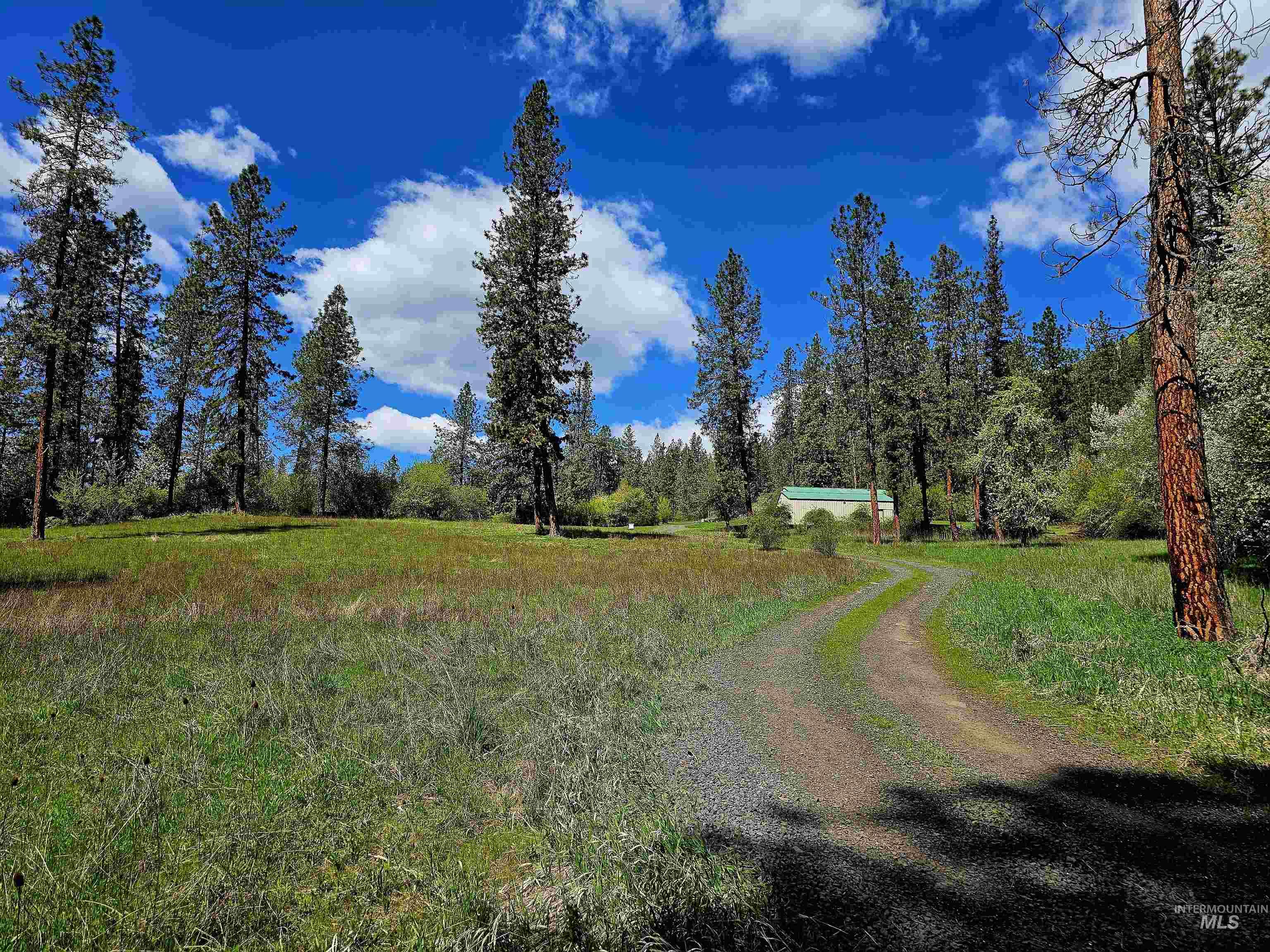 115 Weedmark Way Kamiah, ID 83536 - Photo 4 of 46