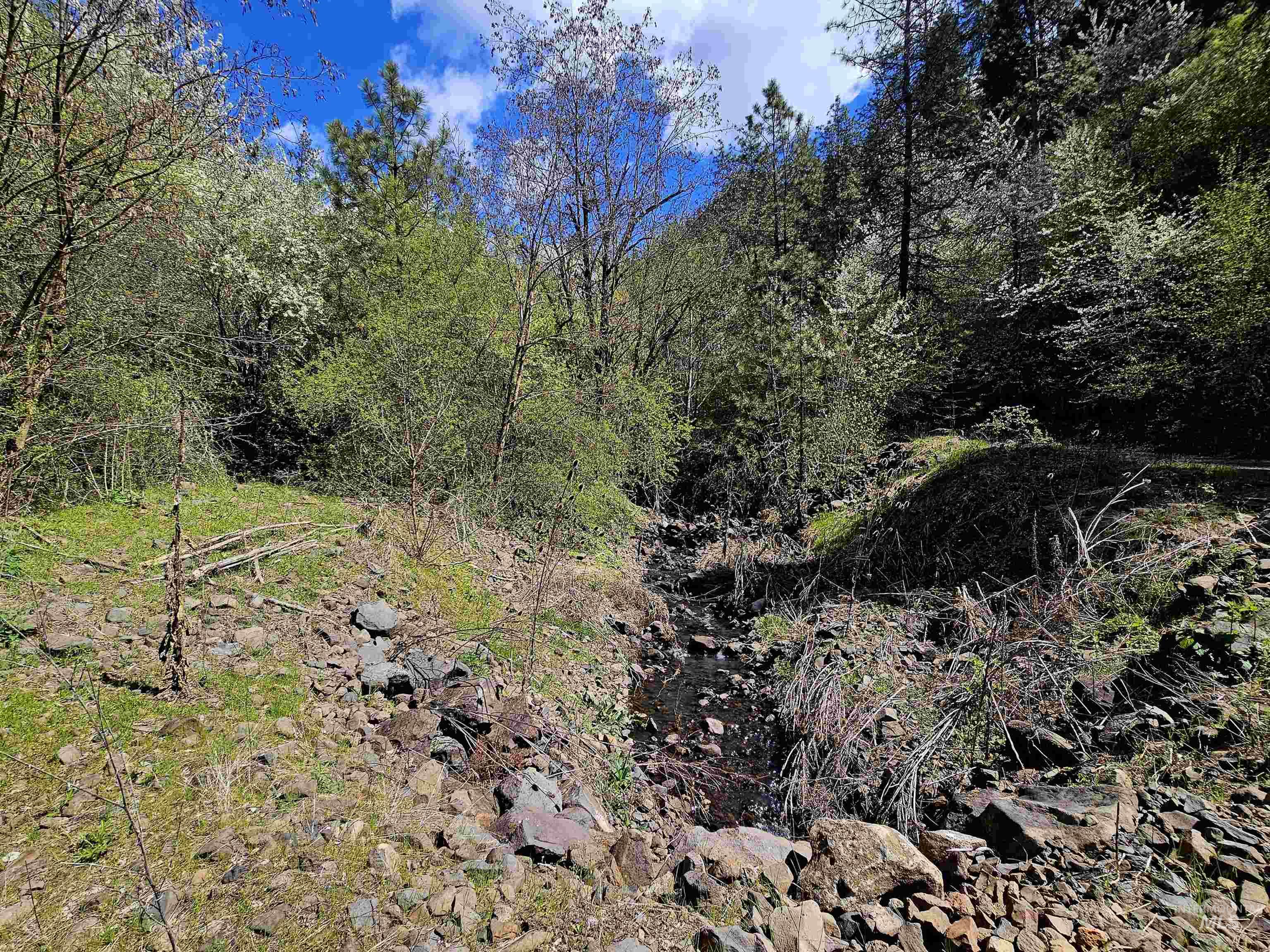 115 Weedmark Way Kamiah, ID 83536 - Photo 4 of 46