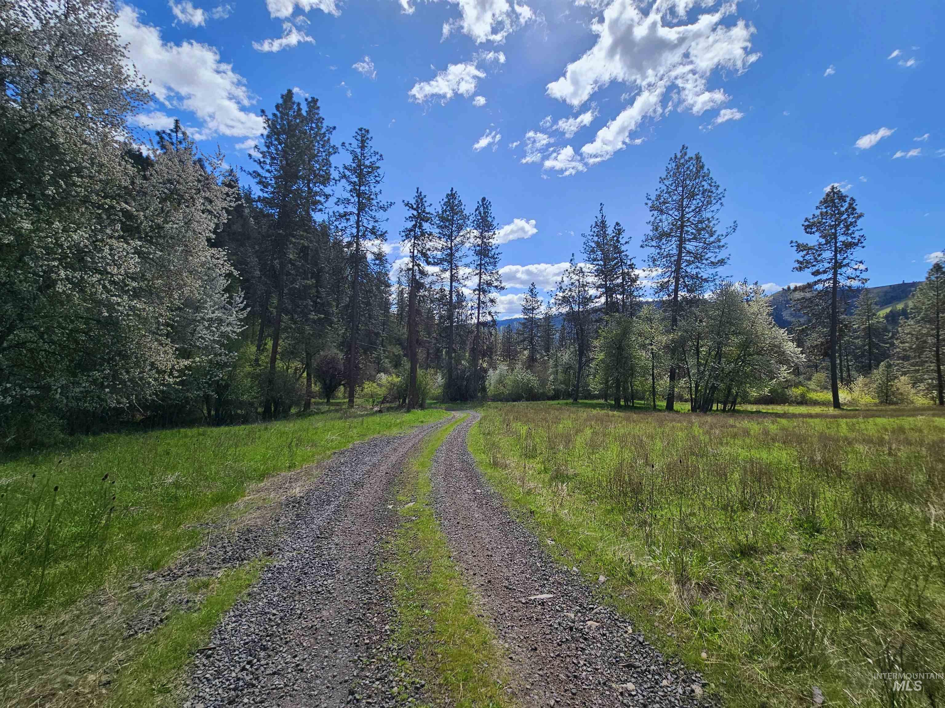 115 Weedmark Way Kamiah, ID 83536 - Photo 45 of 46