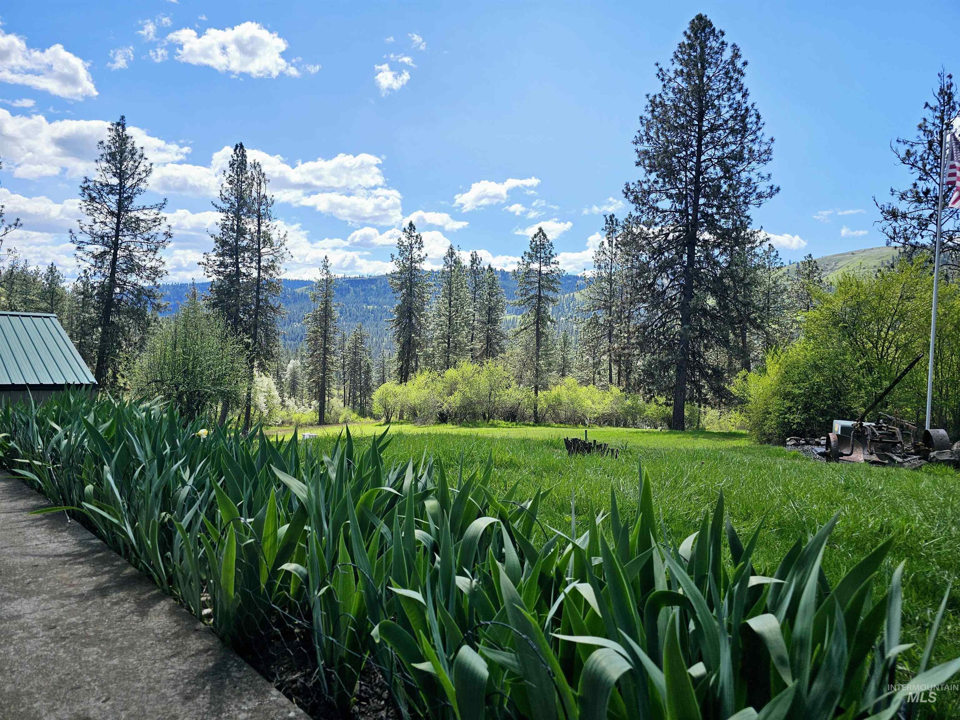 115 Weedmark Way Kamiah, ID 83536 - Photo 6 of 46