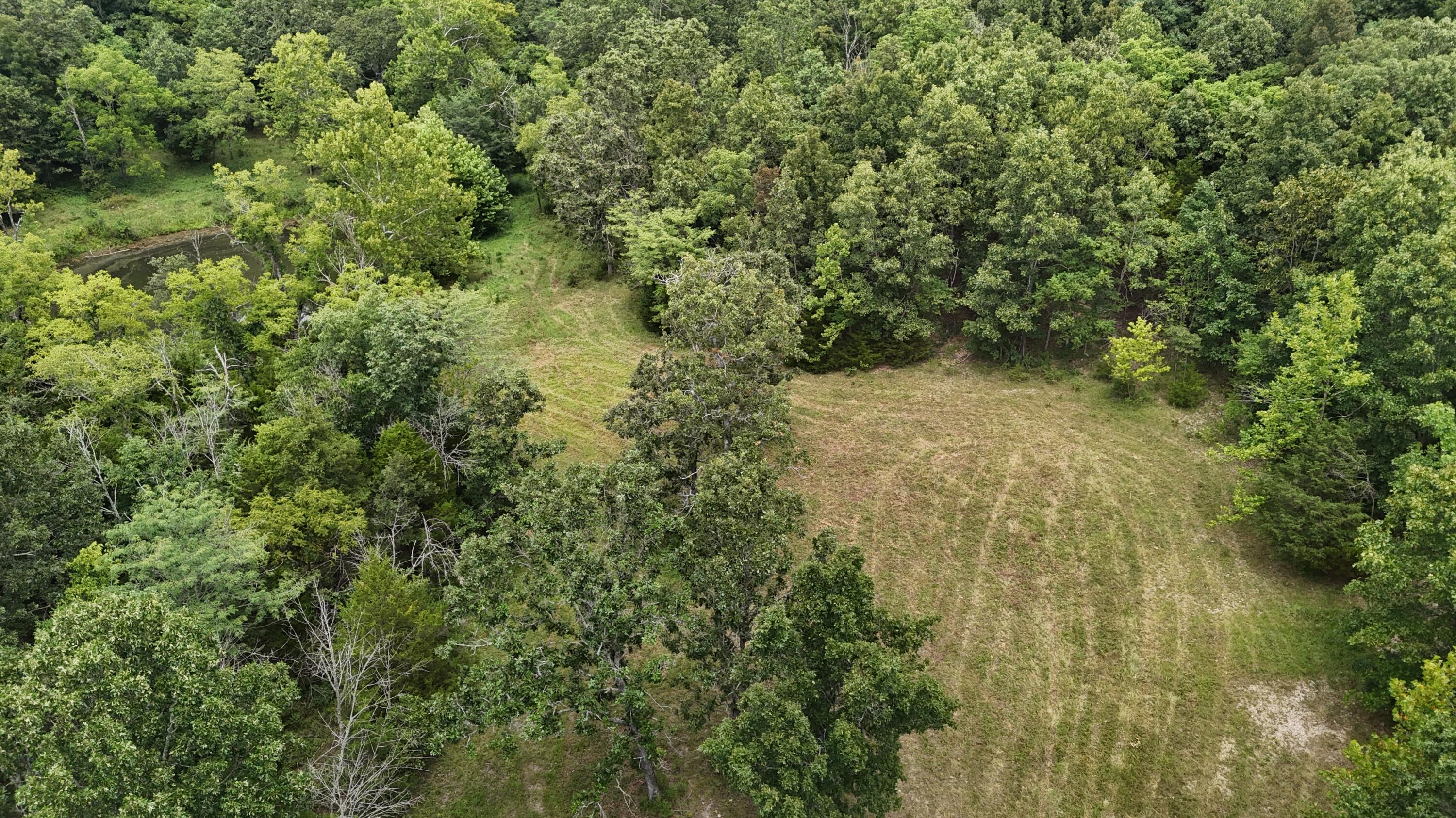 4944 Harlin Road Norwood, MO 65717 - Photo 63 of 77 DJI_20260728131103_0333_D