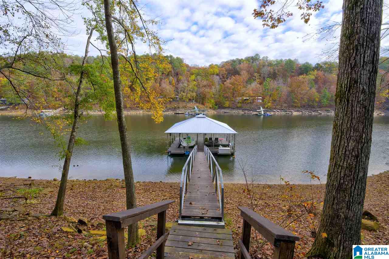 102 North Pointe Drive Arley, AL 35541 - Photo 1 of 45