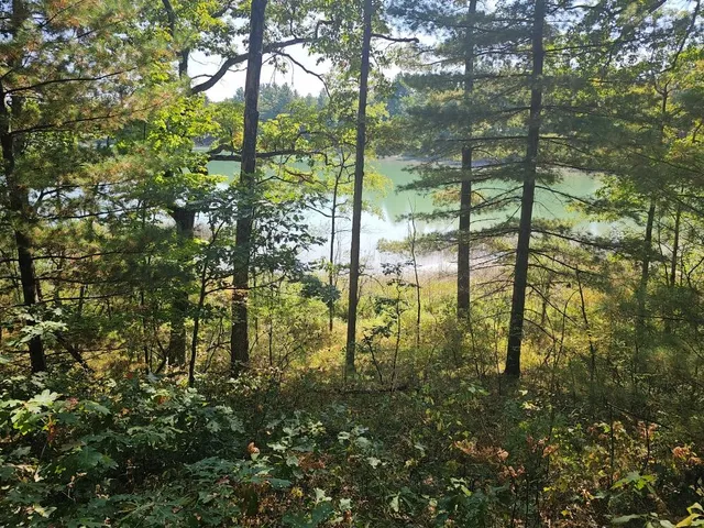 $64,900 | V/l West Wilmas Way, Baldwin, MI 49304