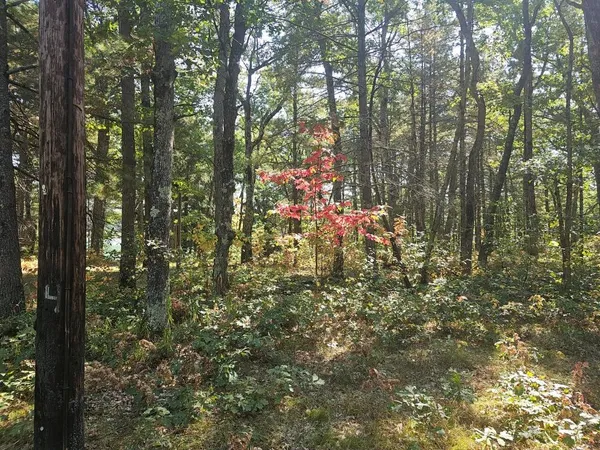 $64,900 | V/l West Wilmas Way, Baldwin, MI 49304