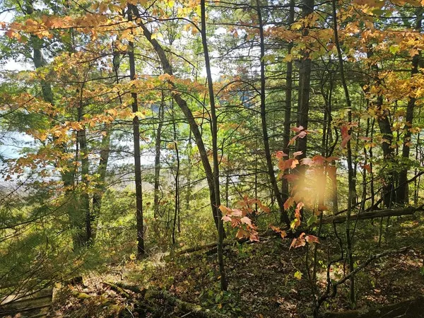 $64,900 | V/l West Wilmas Way, Baldwin, MI 49304