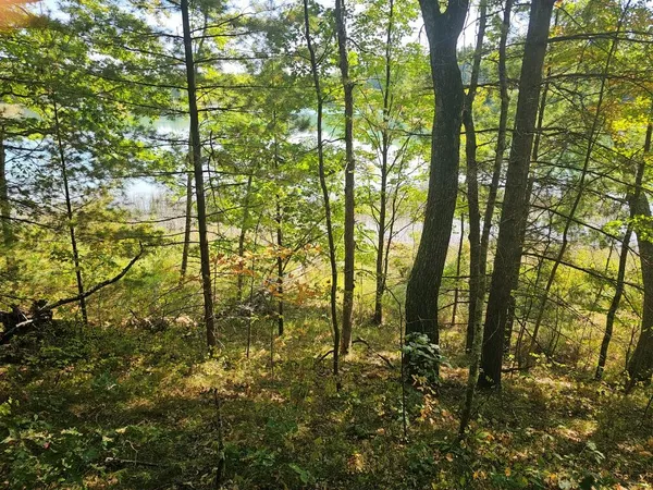 $64,900 | V/l West Wilmas Way, Baldwin, MI 49304