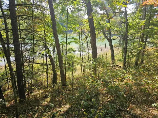 $64,900 | V/l West Wilmas Way, Baldwin, MI 49304