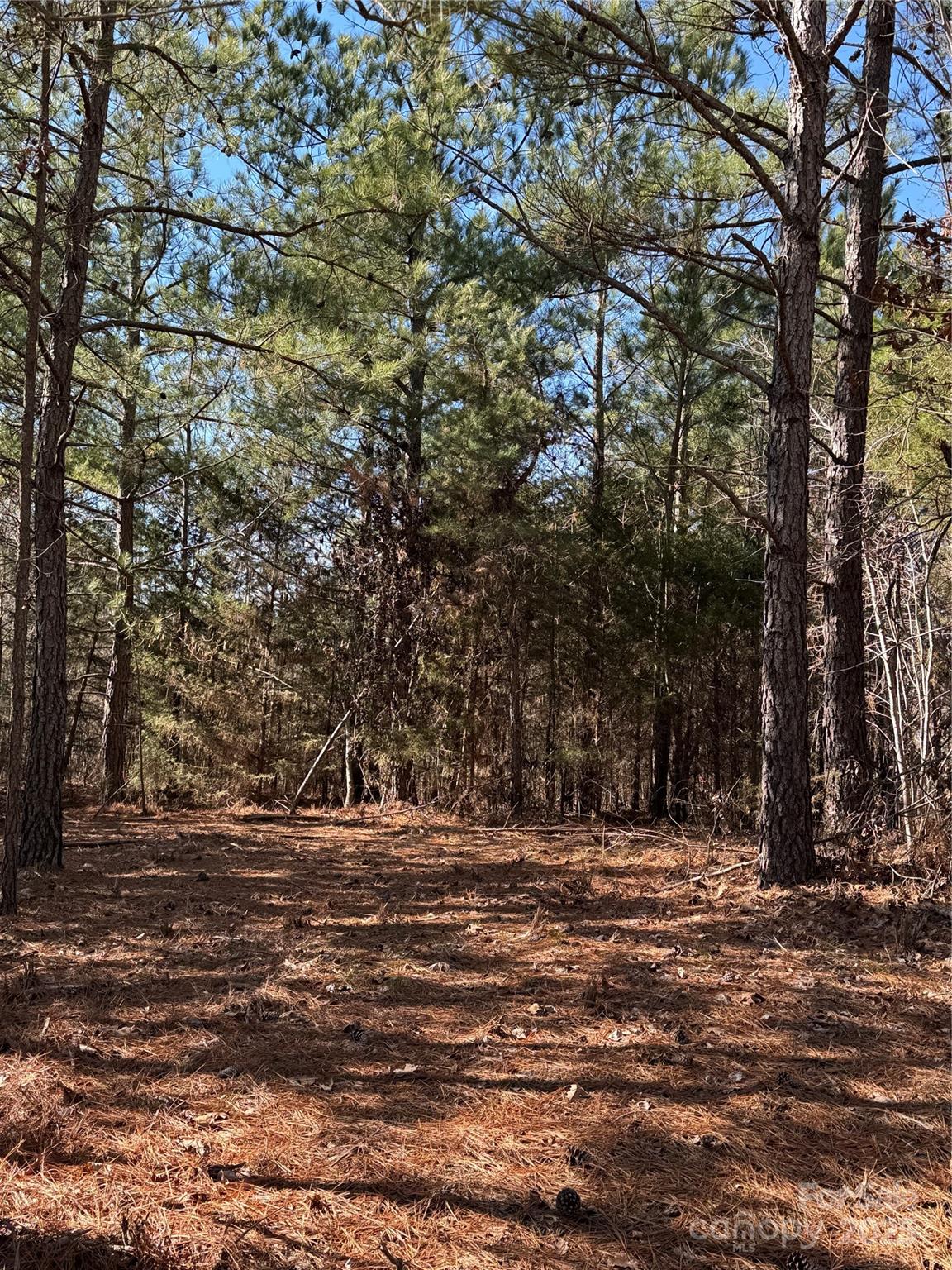 0 Daystar Road, Unit 1 Lancaster, SC 29720 - Photo 5 of 9