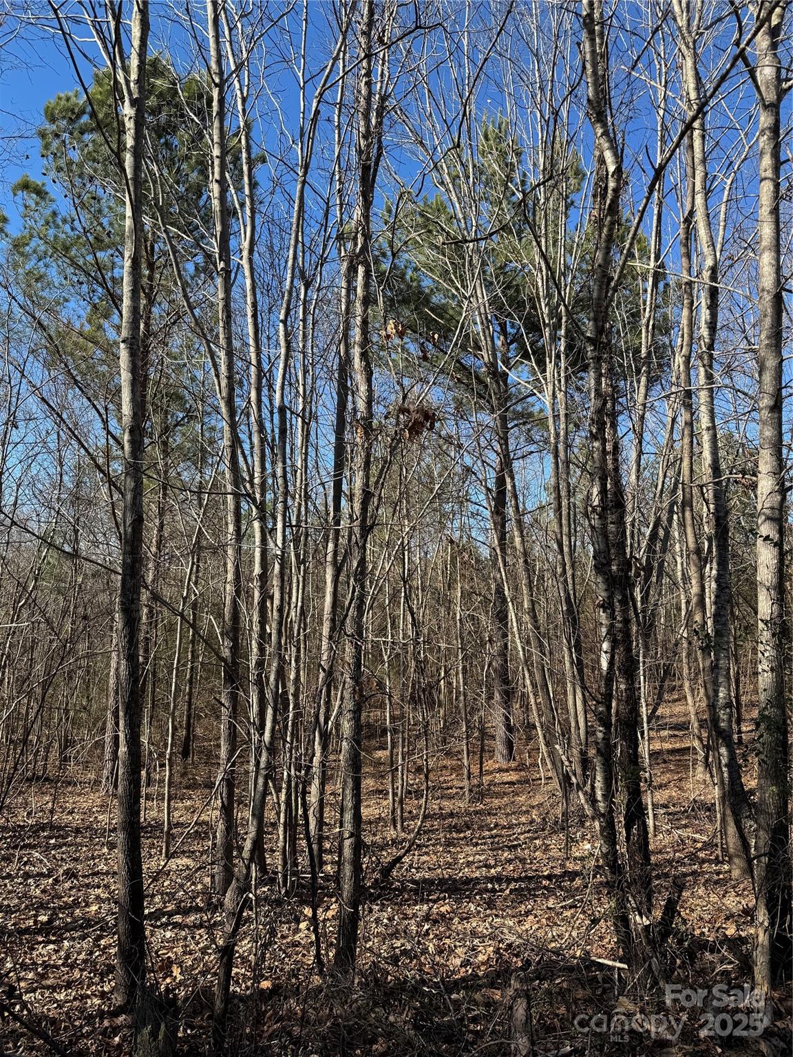 0 Daystar Road, Unit 1 Lancaster, SC 29720 - Photo 6 of 9