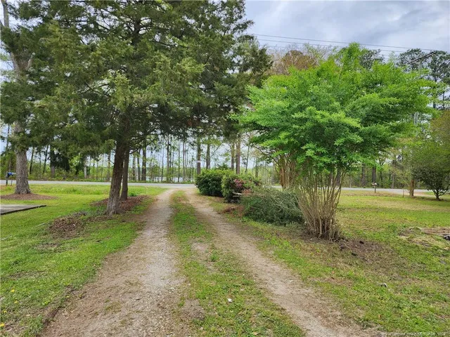 a view of a park with tree s