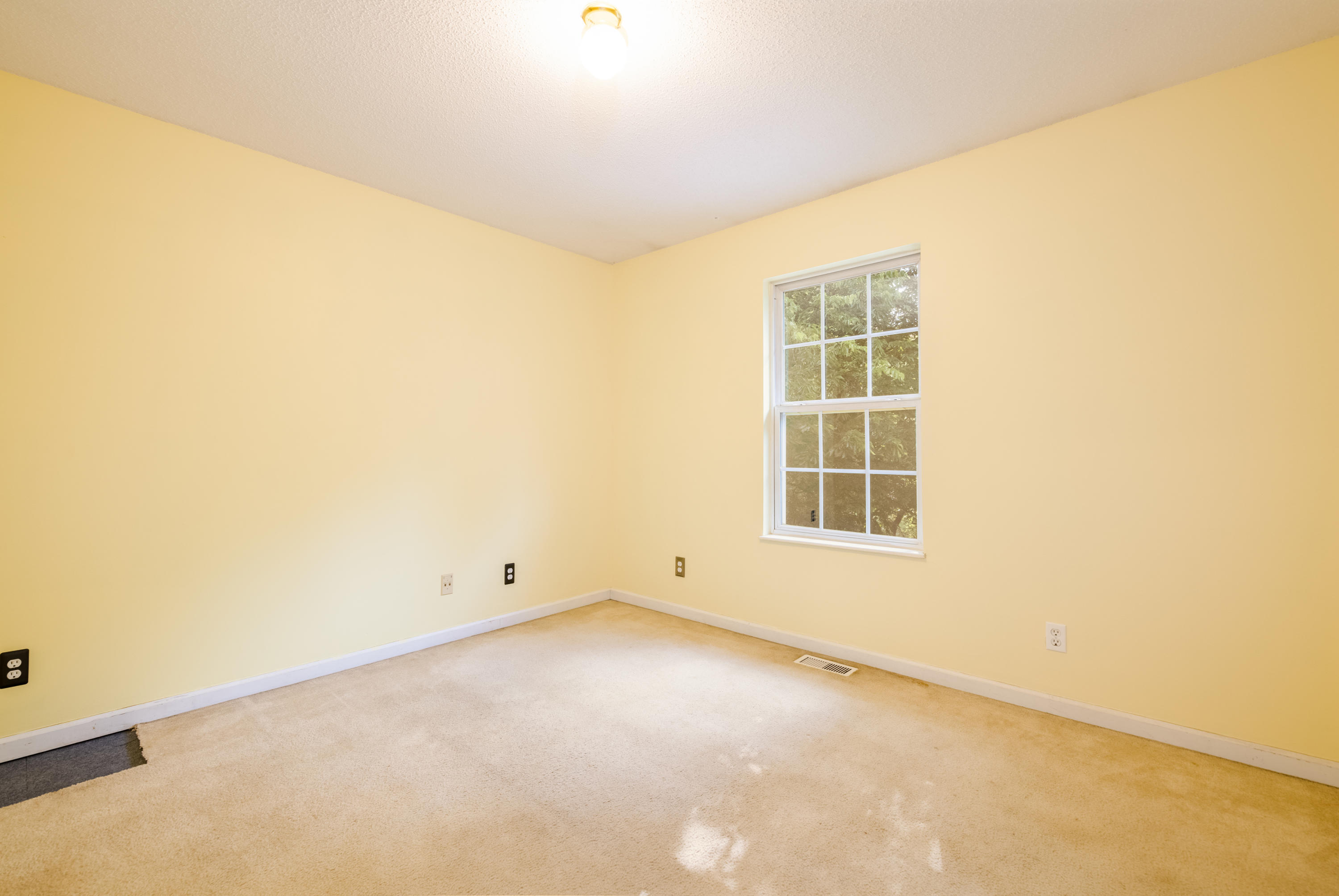 2913 Best Road Maryville, TN 37803 - Photo 22 of 38 _DSC8894-Edit