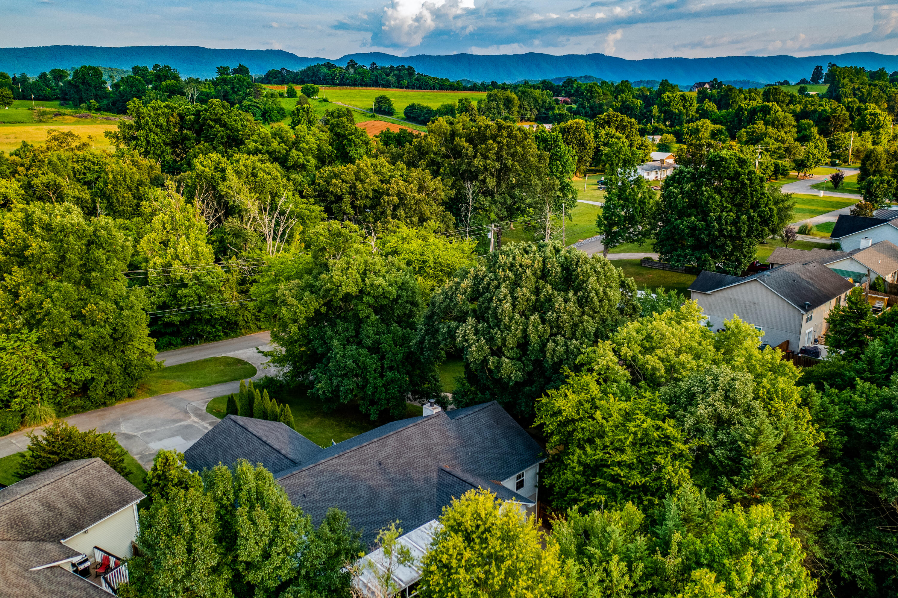 2913 Best Road Maryville, TN 37803 - Photo 36 of 38 DJI_0824-Edit
