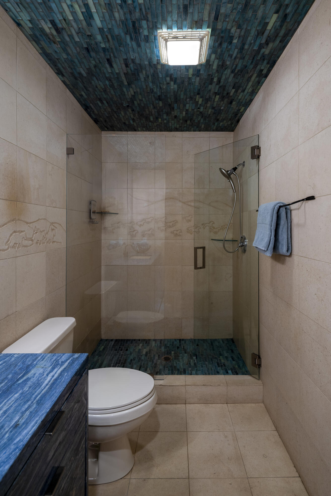 102 Larkspur Road Blaine County, ID 83333 - Photo 20 of 31 Bathroom - First Floor Shower