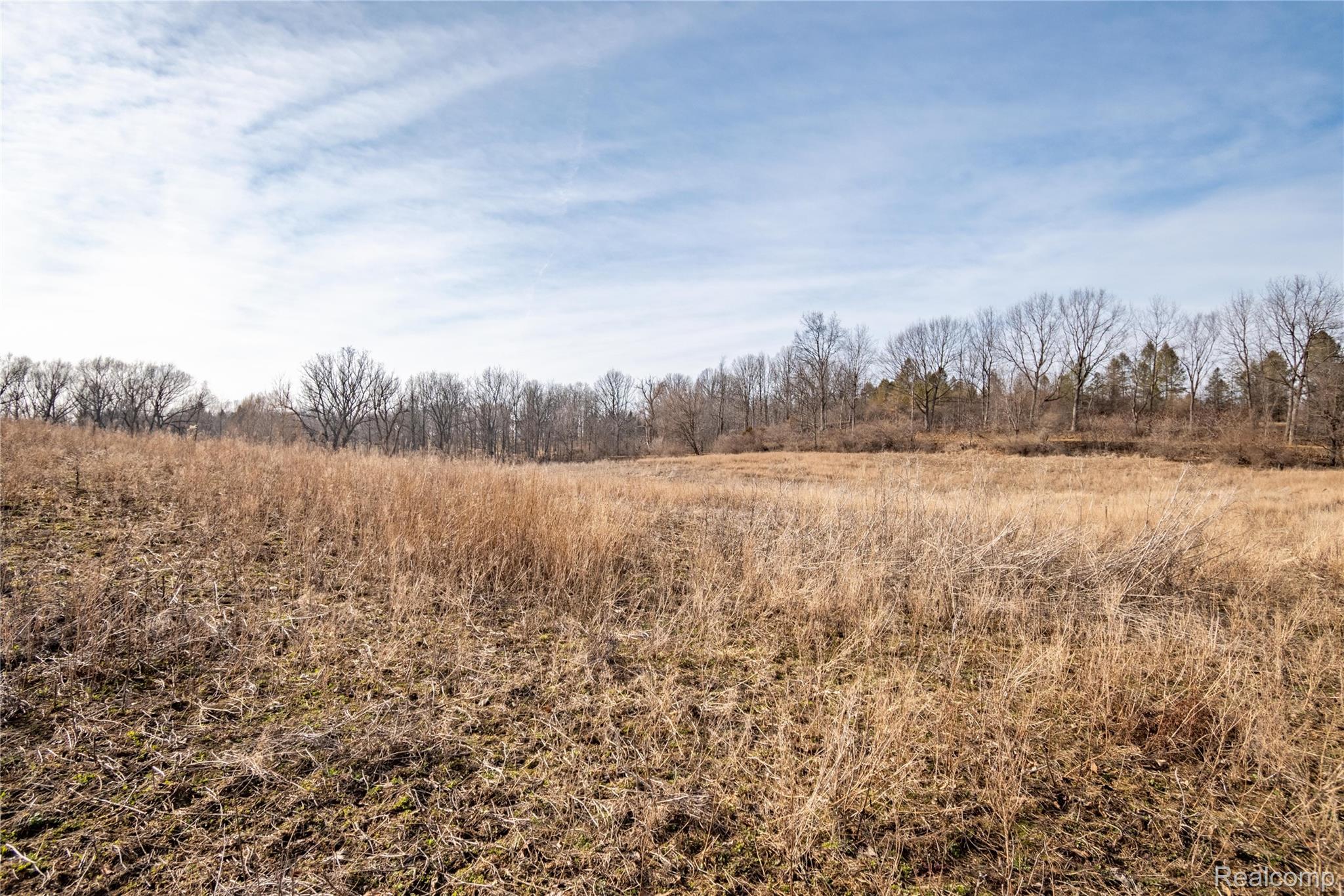 0 Heim Road Chelsea, MI 48118 - Photo 10 of 29 Heim Rd Vacant-9.jpg