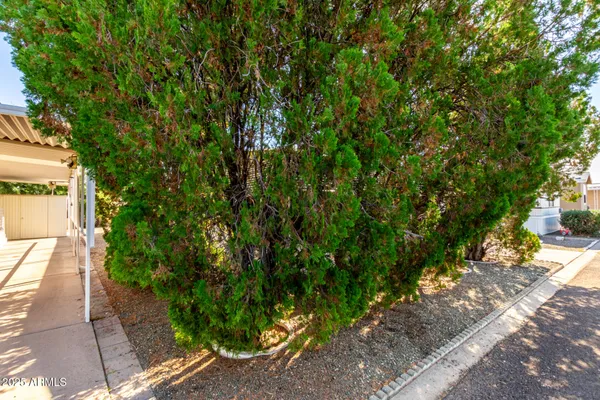 a view of walk in closet with clothes