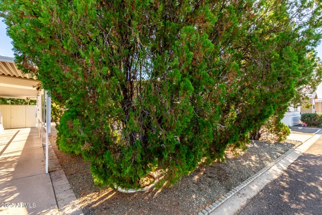a view of walk in closet with clothes