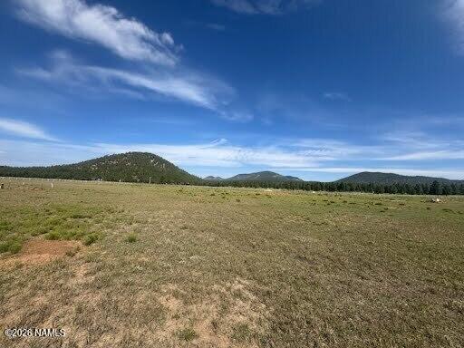 Lot 36 North Spring Valley Rd Parks Parks, AZ 86018 - Photo 1 of 13 f5241e38322a6c033ad6c15b6f93da0393771025