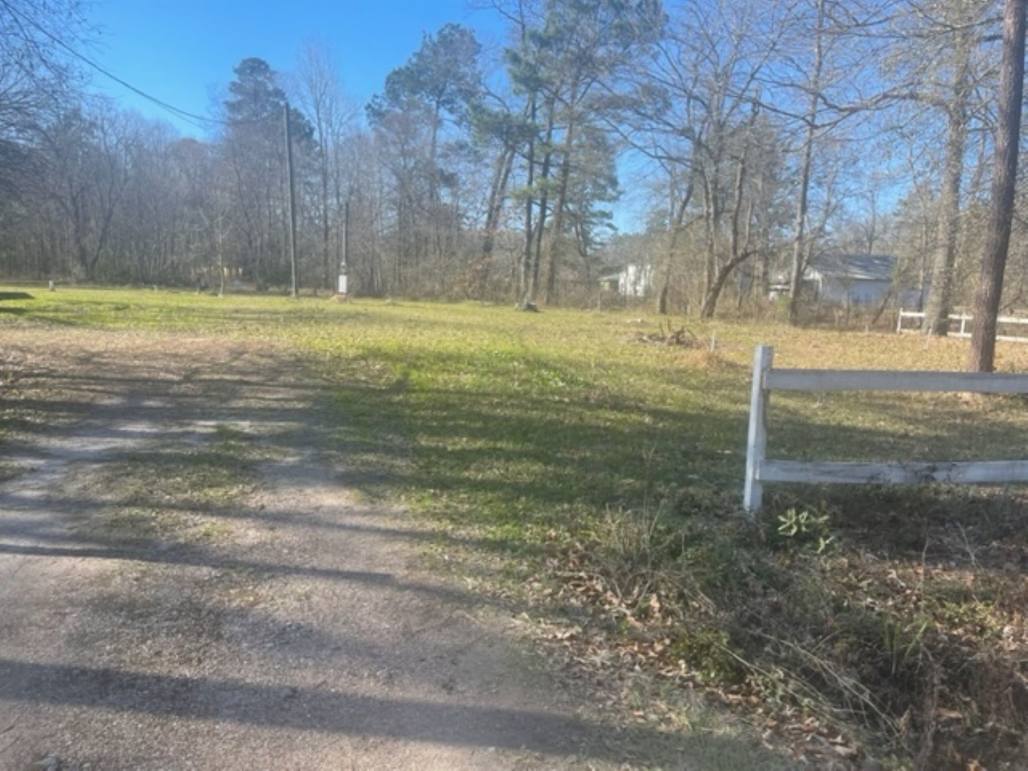 15432 O'Connor Drive Splendora, TX 77372 - Photo 2 of 12 a view of a yard with large trees