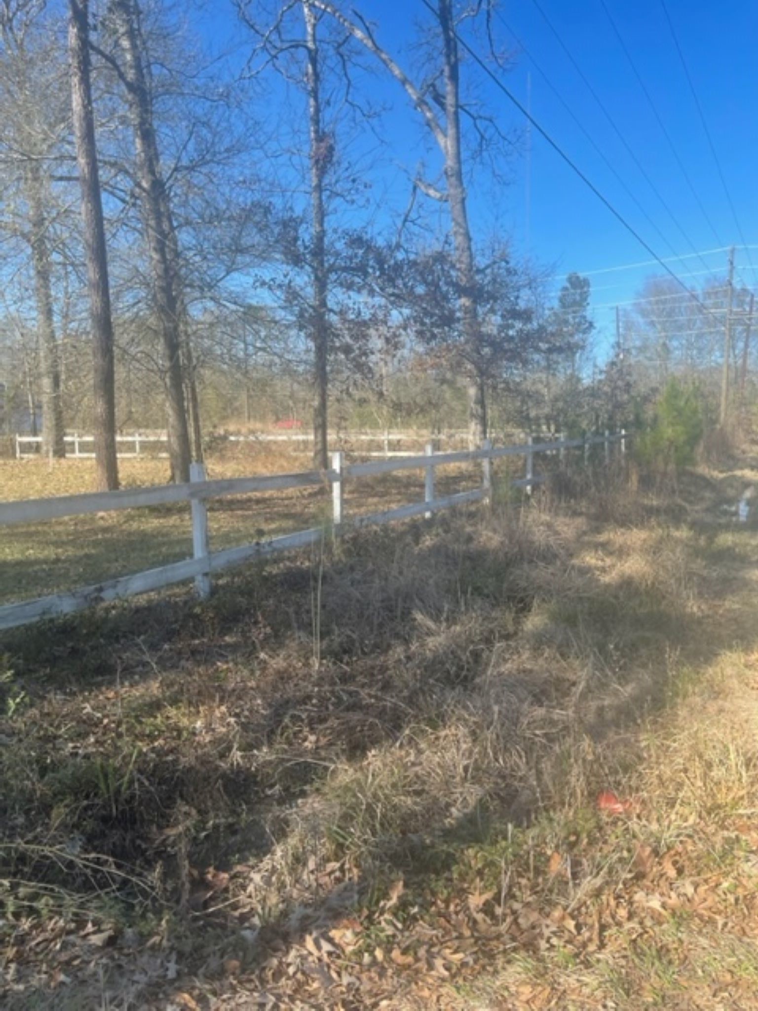 15432 O'Connor Drive Splendora, TX 77372 - Photo 3 of 12 a view of a yard