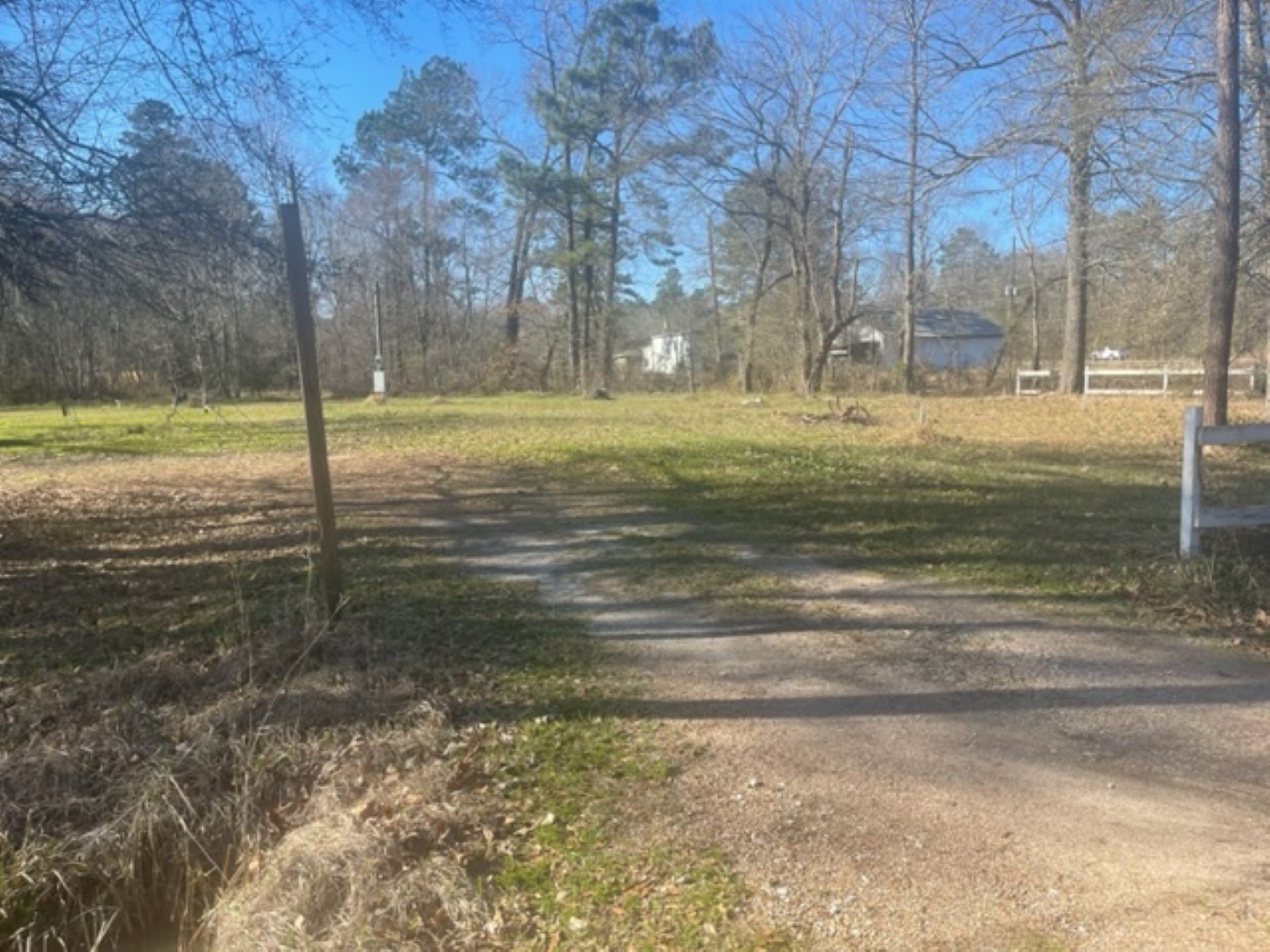 15432 O'Connor Drive Splendora, TX 77372 - Photo 5 of 12 a view of yard with swimming pool and trees