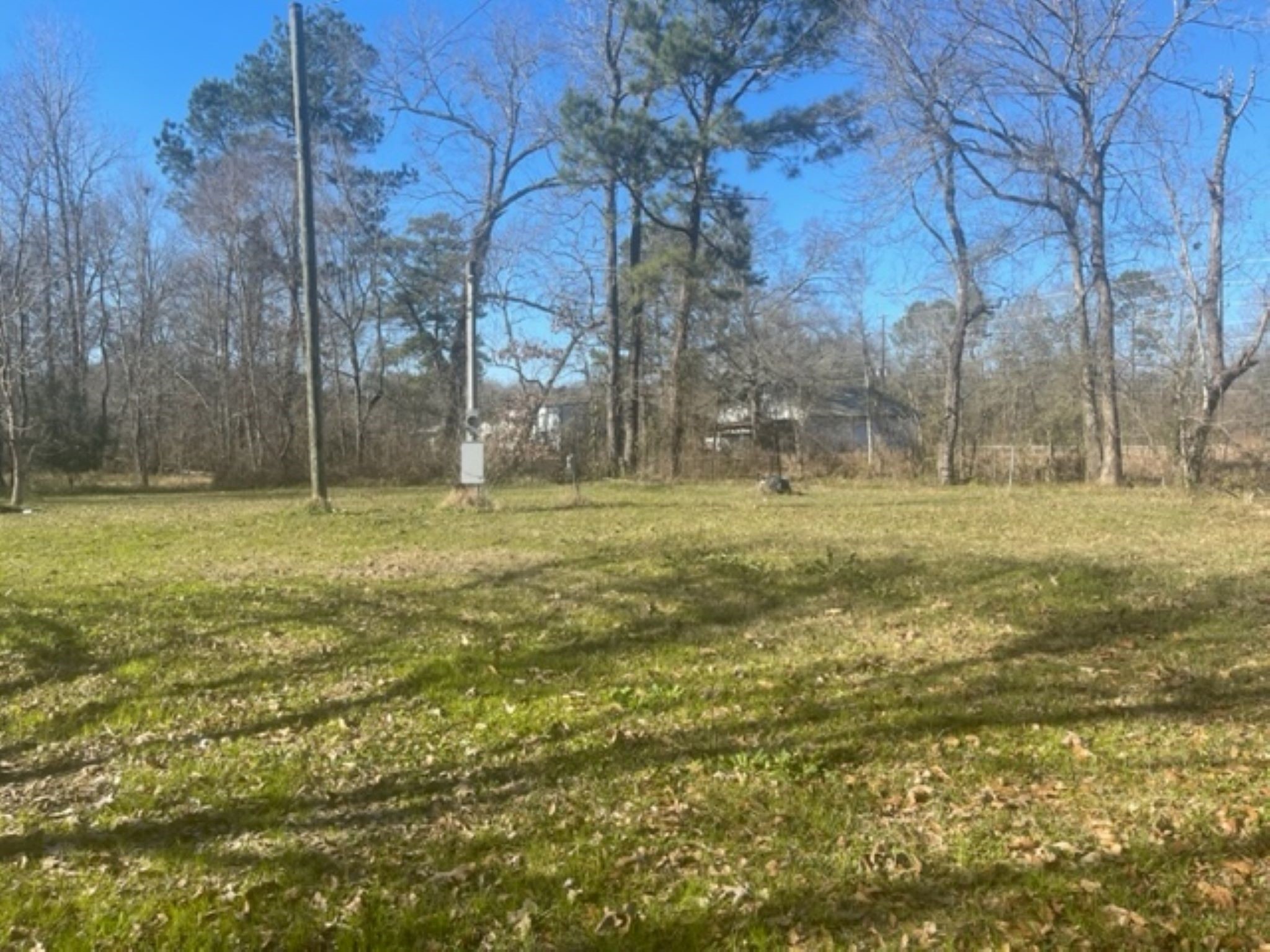 15432 O'Connor Drive Splendora, TX 77372 - Photo 8 of 12 a big yard with trees