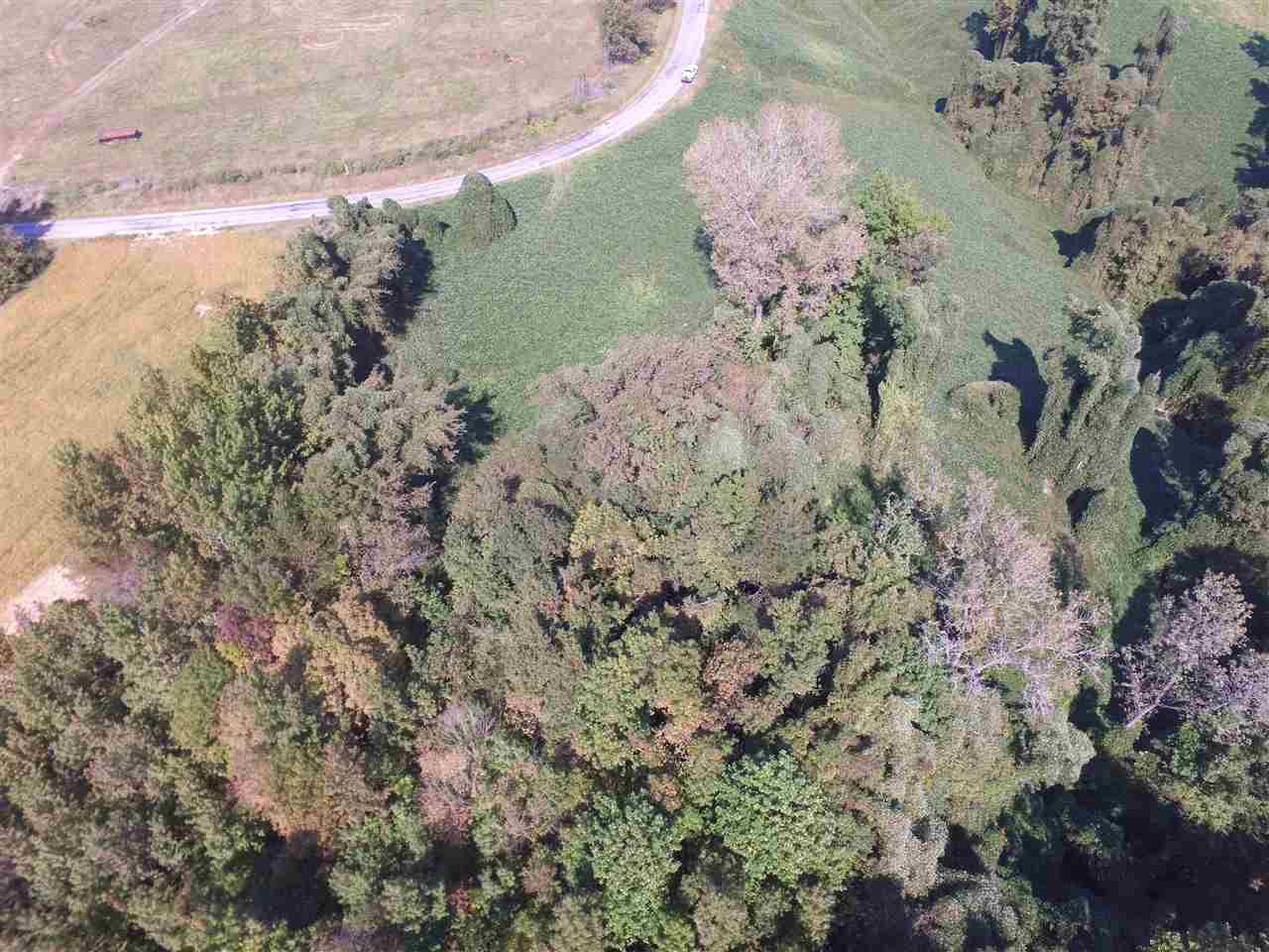 Gallery Image 7