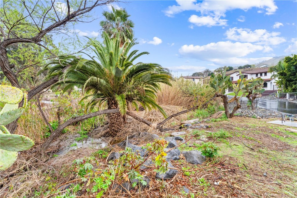 1993 Lyon Avenue Riverside, CA 92503 - Photo 52 of 61 a view of a palm tree with a yard