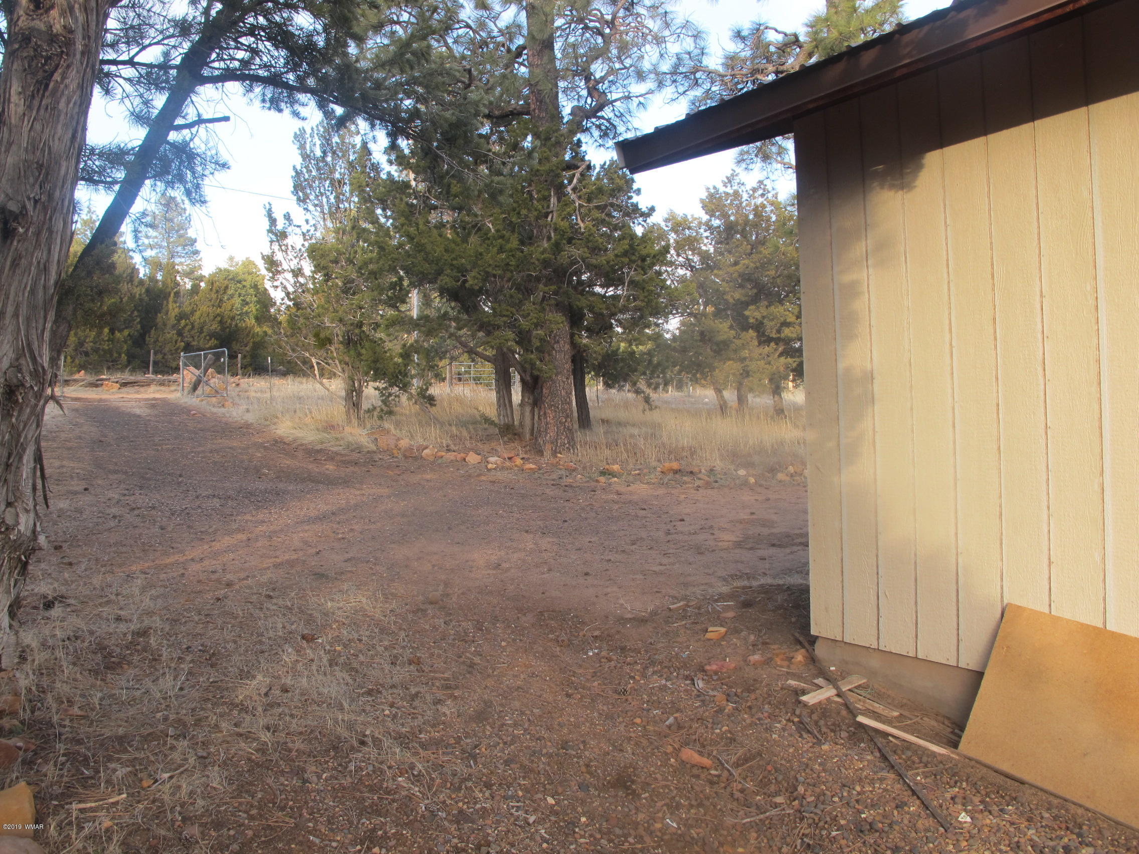 2177 Gingerbread Lane Overgaard, AZ 85933 - Photo 10 of 32