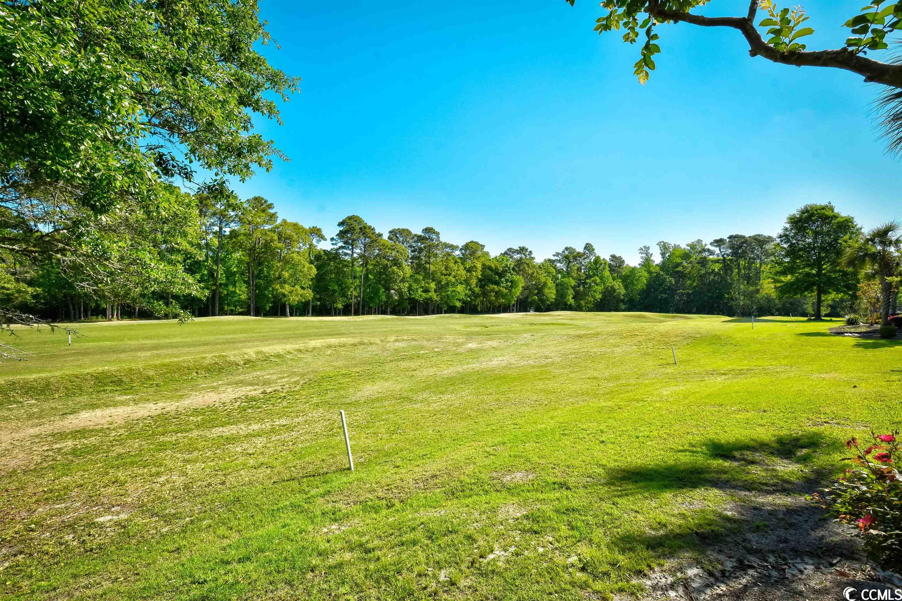 23 Pistachio Loop, Unit 13B Murrells Inlet, SC 29576 - Photo 29 of 40