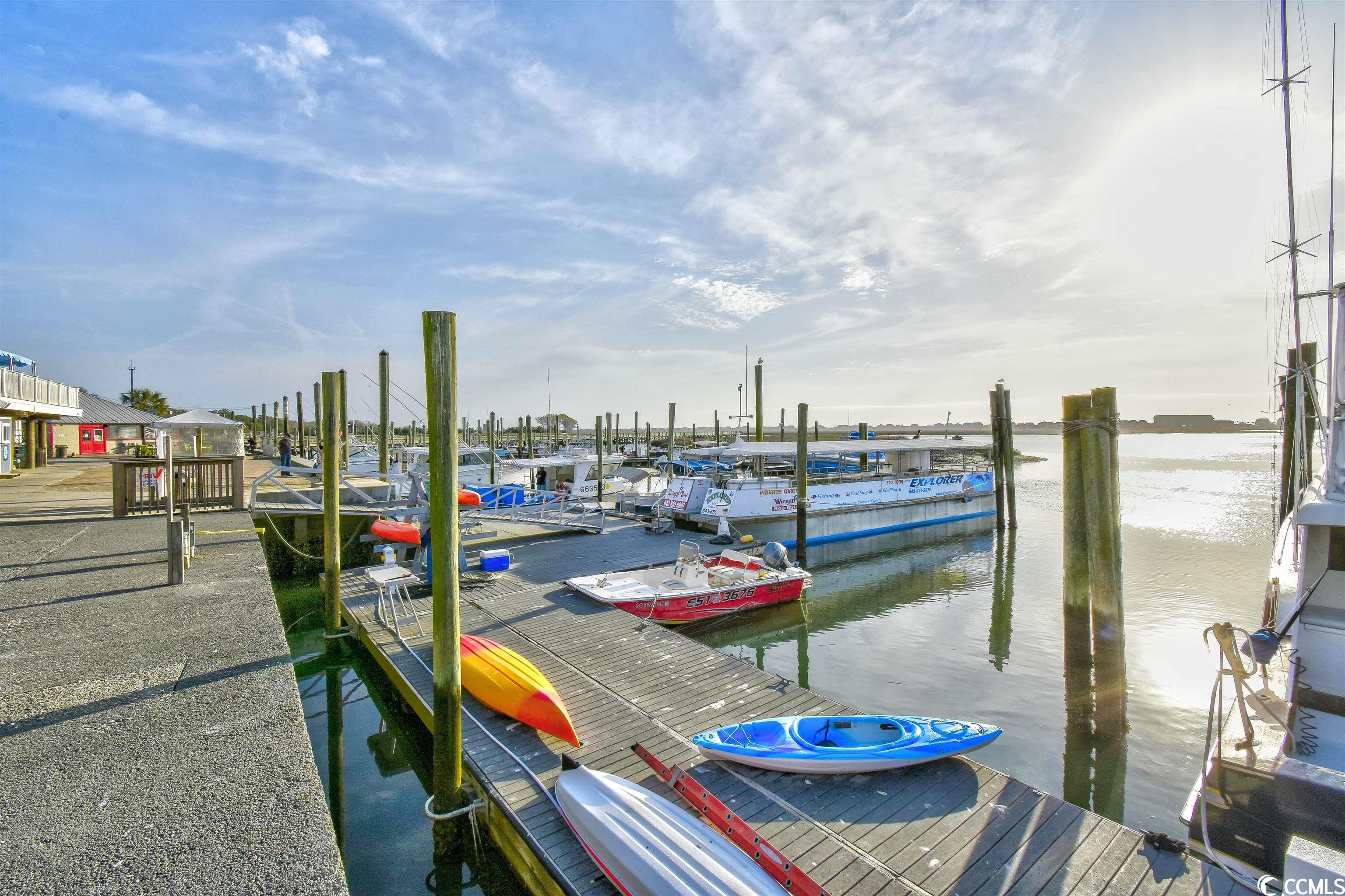 23 Pistachio Loop, Unit 13B Murrells Inlet, SC 29576 - Photo 39 of 40