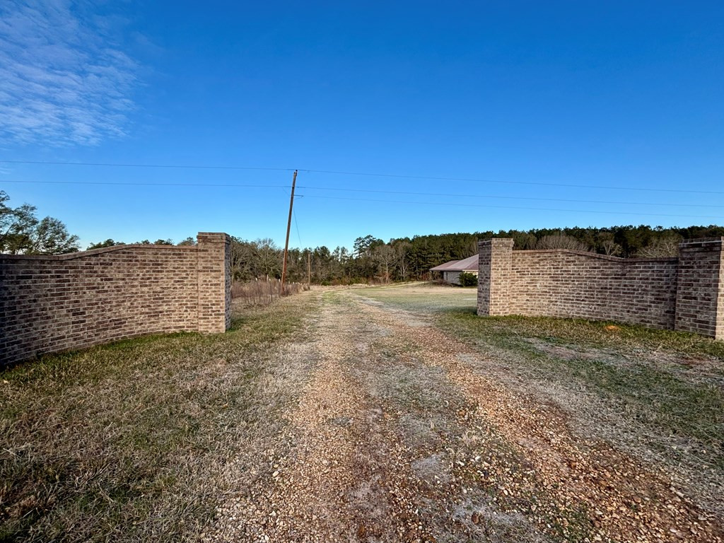 294 Simon Road Tylertown, MS 39667 - Photo 5 of 37 Photo 5