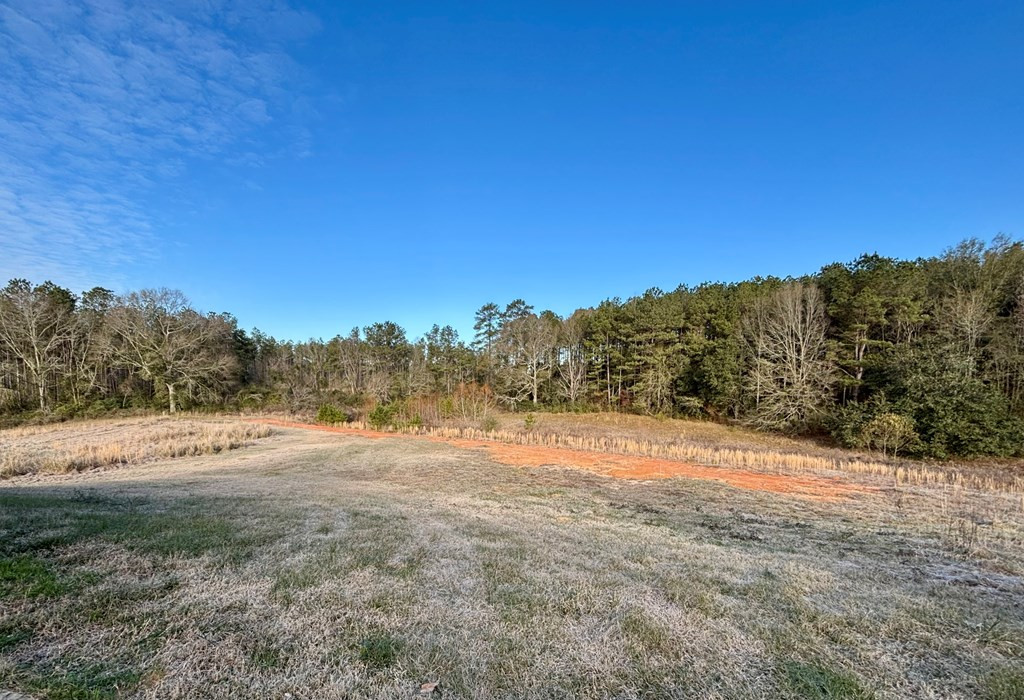 294 Simon Road Tylertown, MS 39667 - Photo 9 of 37 Photo 9