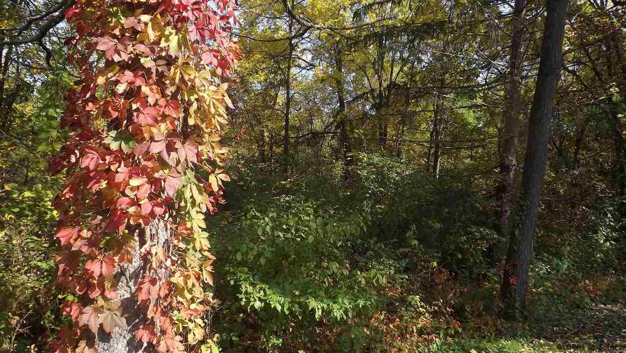 0 Cemetery Road Victory Mills, NY 12884 - Photo 1 of 10 Photo 1