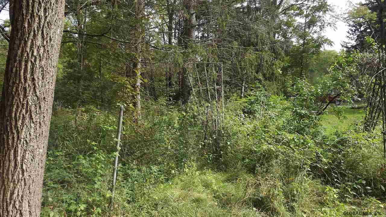 0 Cemetery Road Victory Mills, NY 12884 - Photo 2 of 10 Photo 2