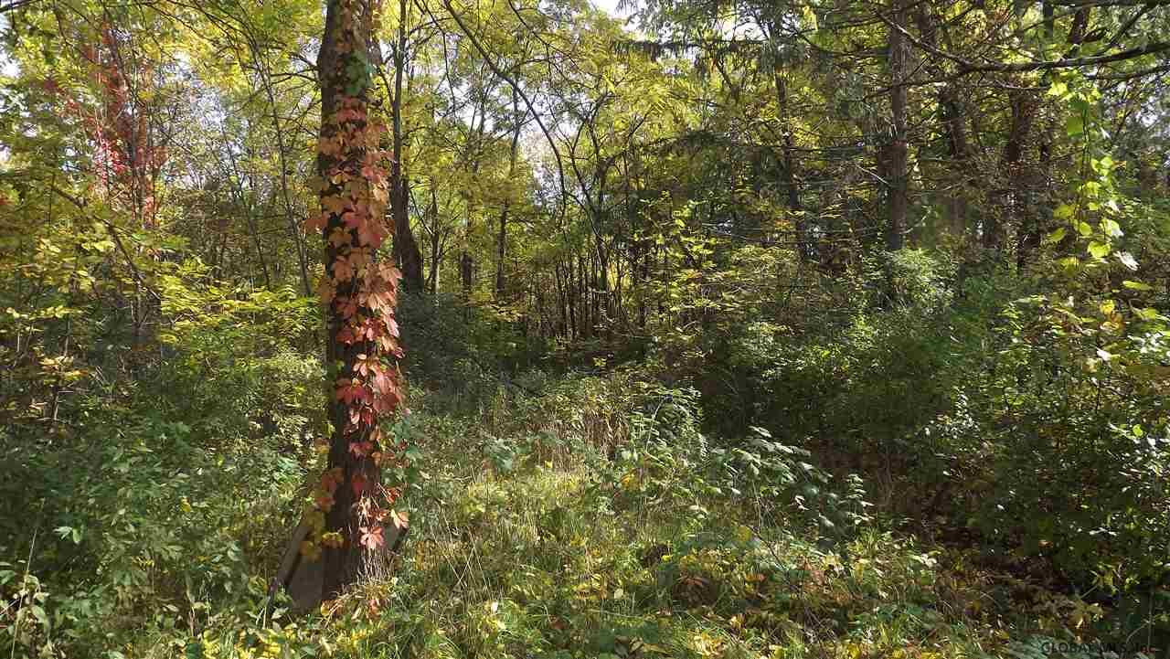 0 Cemetery Road Victory Mills, NY 12884 - Photo 3 of 10 Photo 3