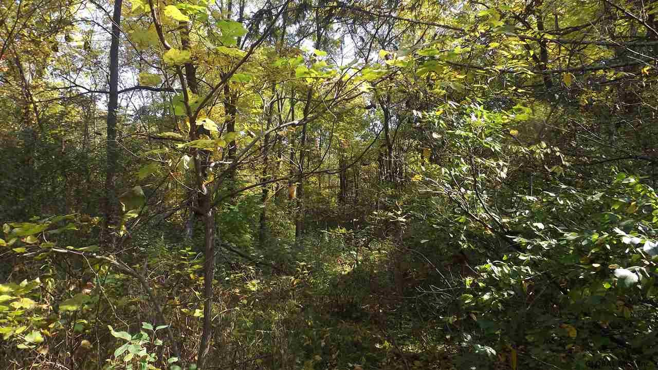 0 Cemetery Road Victory Mills, NY 12884 - Photo 4 of 10 Photo 5