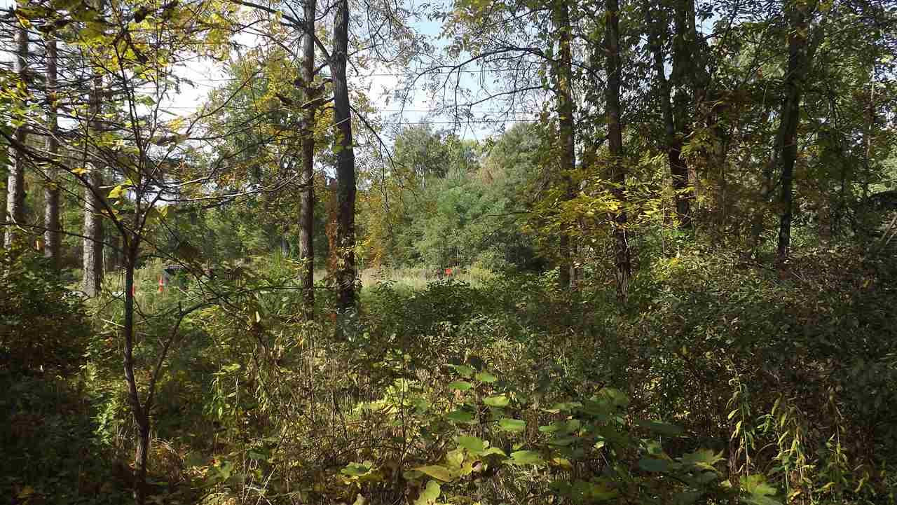 0 Cemetery Road Victory Mills, NY 12884 - Photo 5 of 10 Photo 6