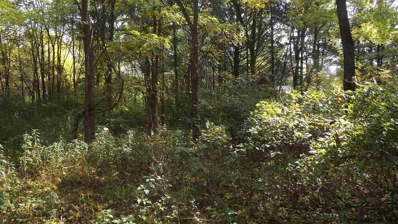 0 Cemetery Road Victory Mills, NY 12884 - Photo 6 of 10 Photo 7