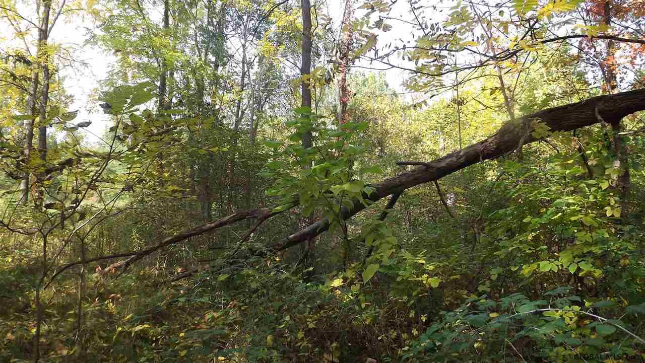 0 Cemetery Road Victory Mills, NY 12884 - Photo 8 of 10 Photo 9