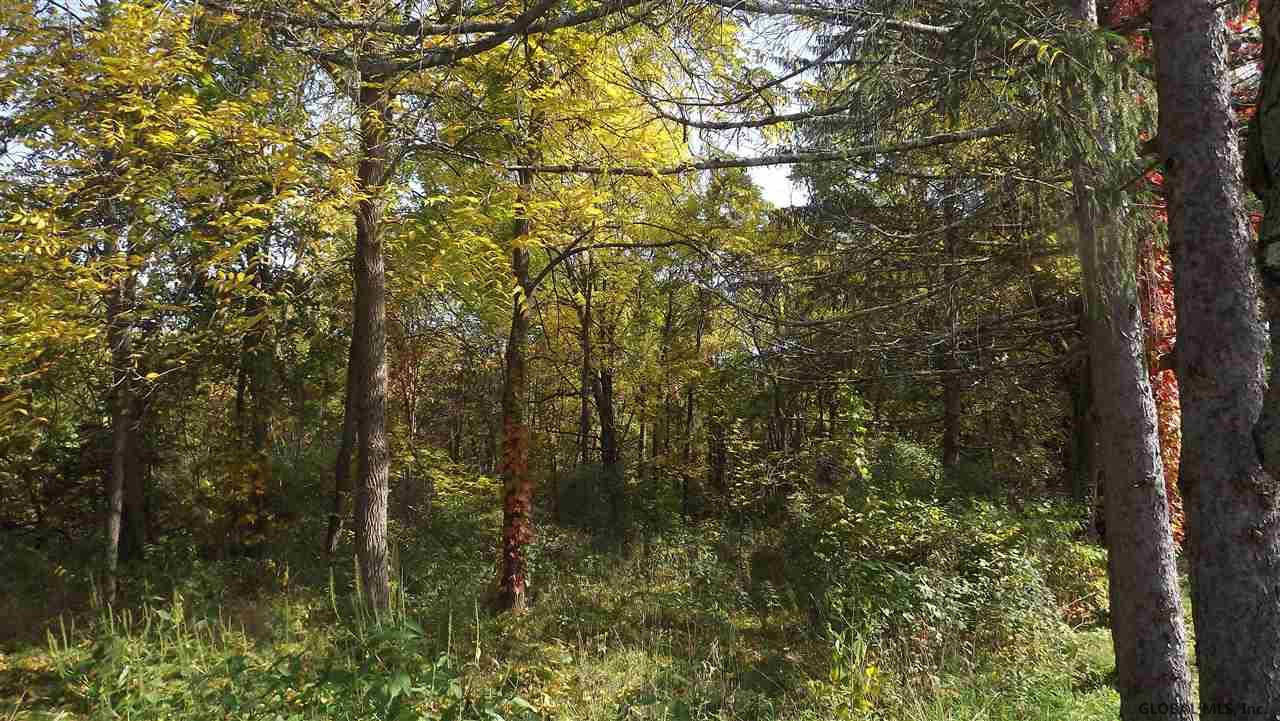 0 Cemetery Road Victory Mills, NY 12884 - Photo 10 of 10 Photo 11