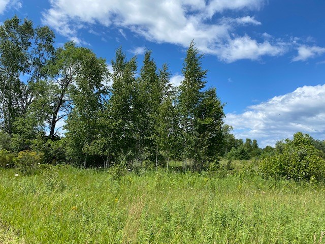 Wild Nest Road Fish Creek, WI 54212 - Photo 2 of 13