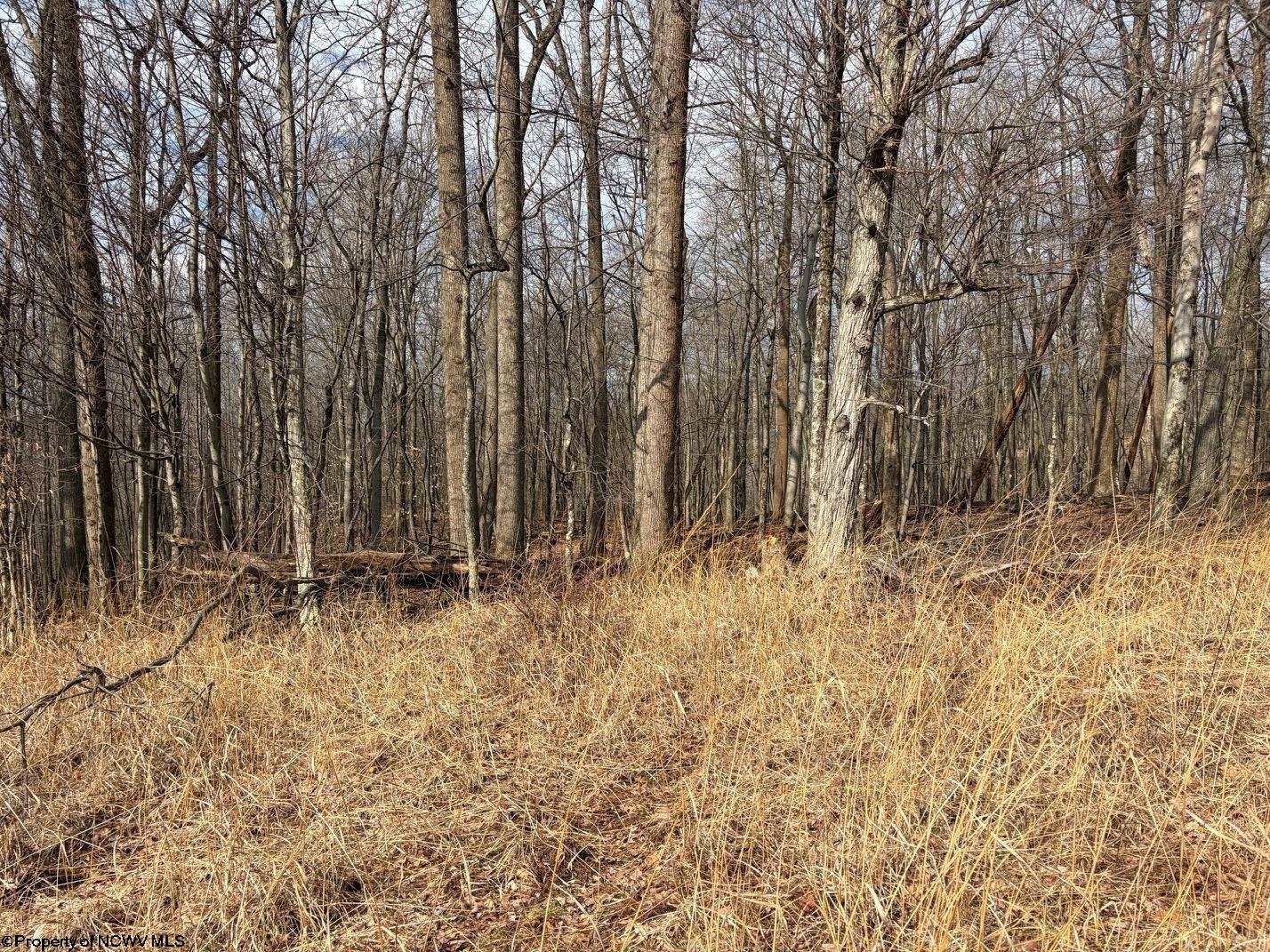 Tbd Mount Zion Road Fairmont, WV 26554 - Photo 20 of 29 Gallery Image 20