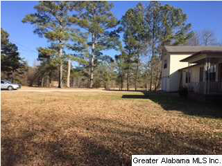 3062 Mitchellville Road Lincoln, AL 35096 - Photo 16 of 20