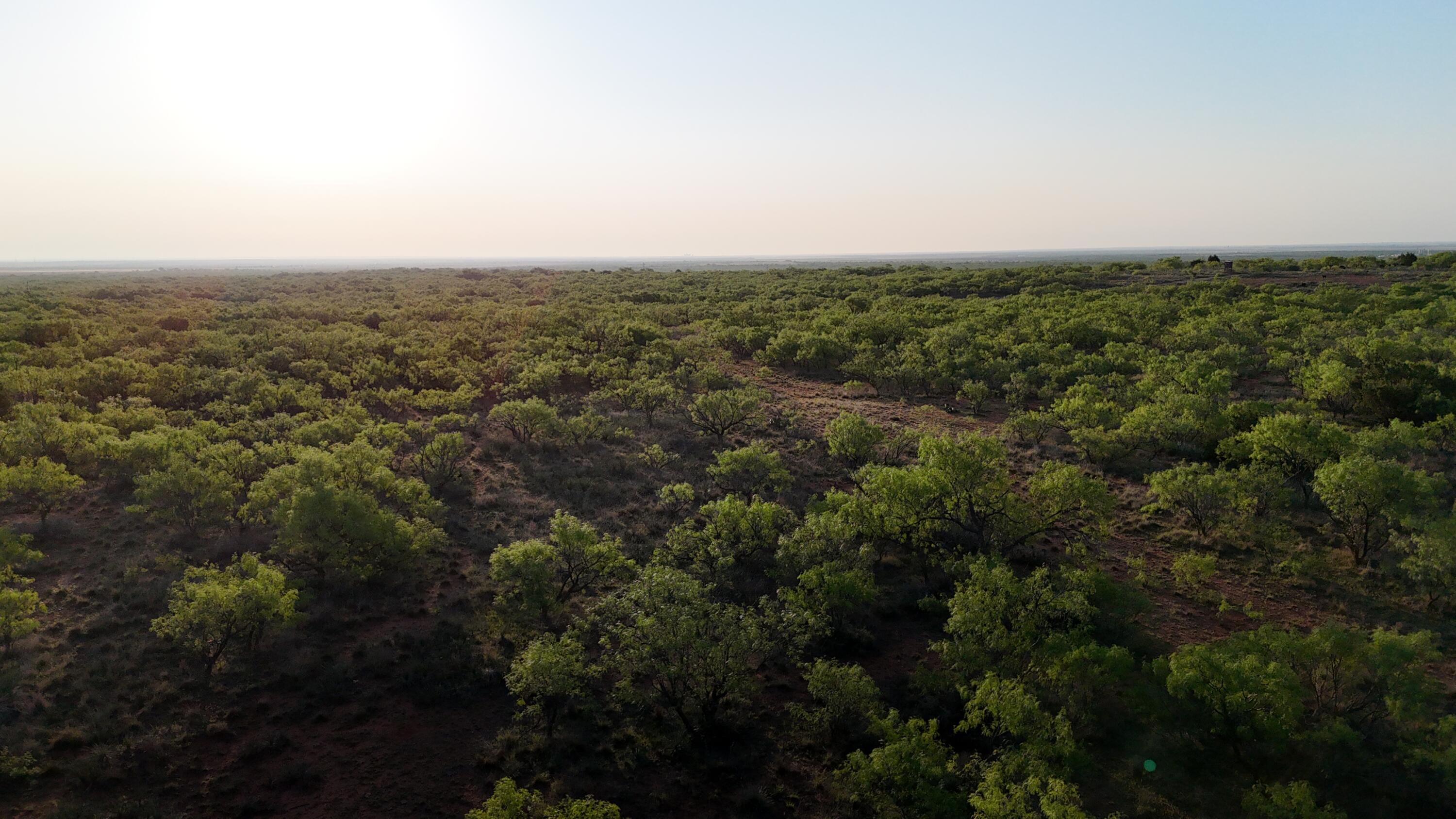 92 Texas Hamlin, TX 79520 - Photo 18 of 63 DJI_20260528072643_0095_D
