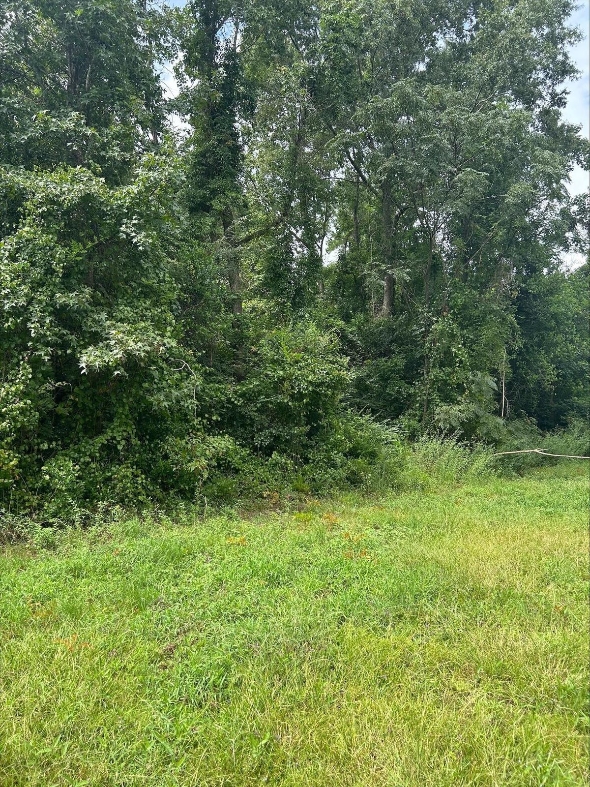 0 Hall Street Summerton, SC 29148 - Photo 2 of 6 20260226143855828308000000-o