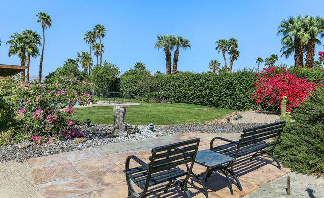 a view of a garden with a tree