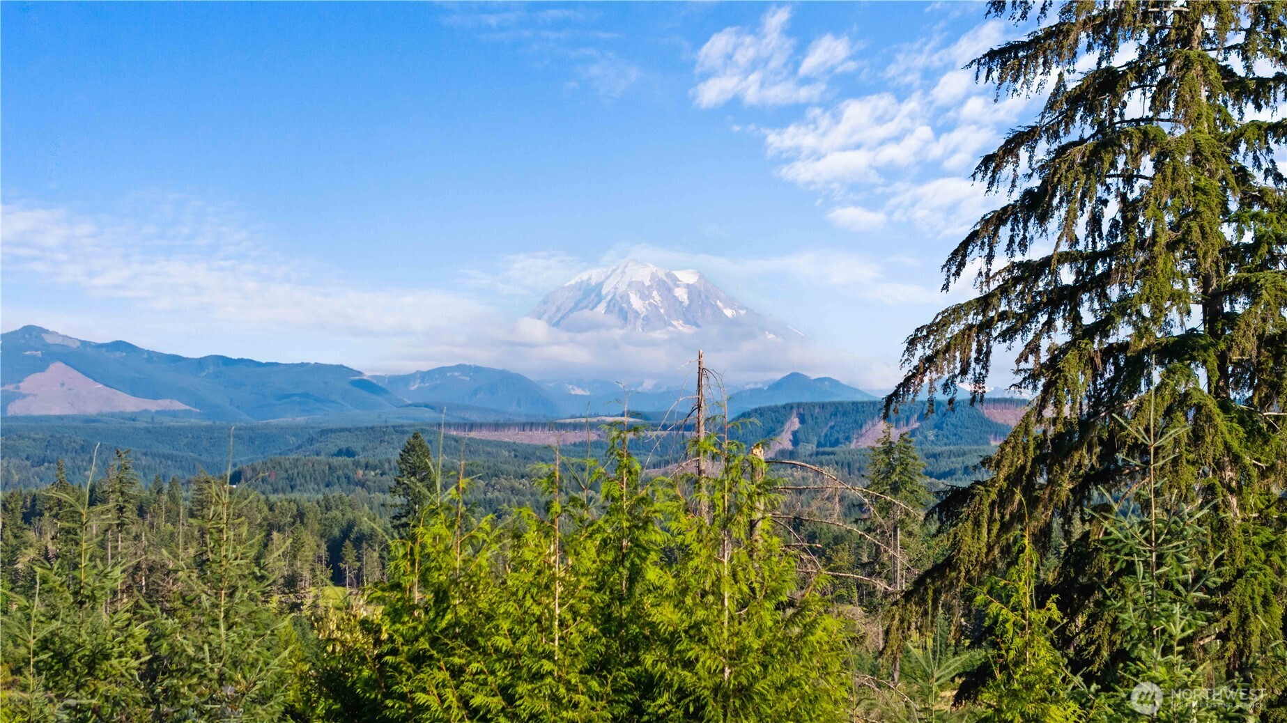 23119 164th Street East Orting, WA 98360 - Photo 35 of 39