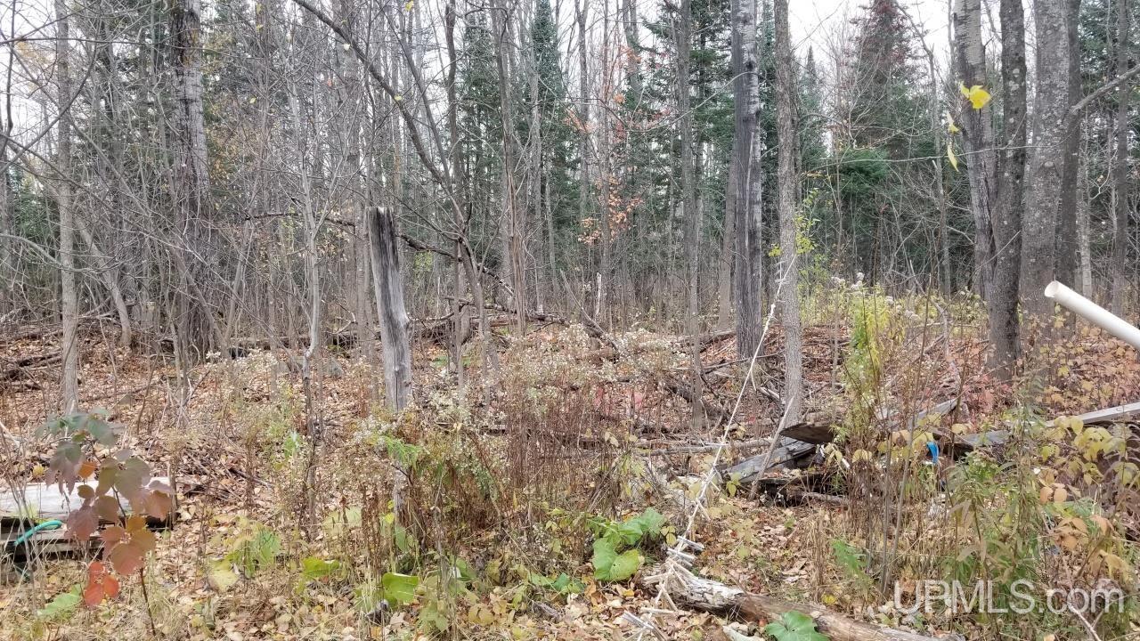 581 Bates-Amasa Road Iron River, MI 49935 - Photo 28 of 33 Gallery Image 28