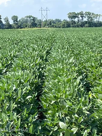 $4,181,925 | St Bayou Road, Anguilla, MS 38721